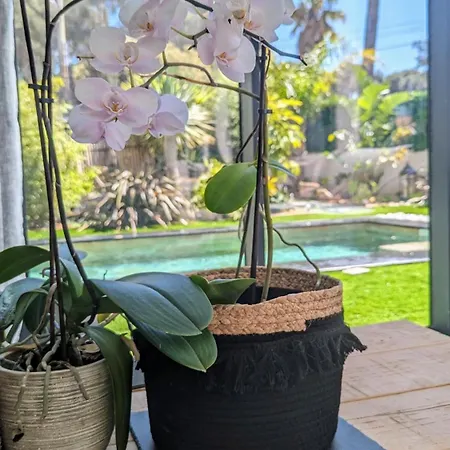 Maison Orchidee